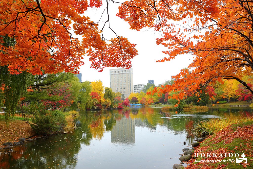 北海道｜銀杏、紅葉、菖蒲池，在中島公園邂逅絕美秋意