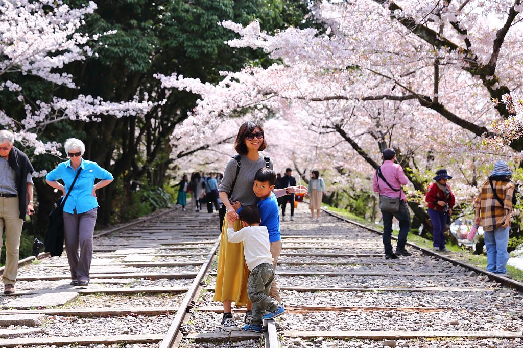 京都賞櫻蹴上鐵道、藍瓶咖啡｜人氣爆棚但不會後悔的熱門景點