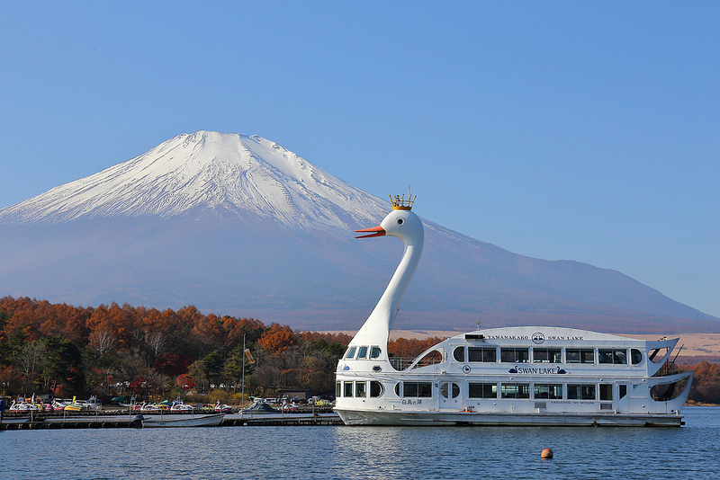 【富士五湖】山中湖KABA水陸兩用巴士｜看富士山除了河口湖外的好選擇